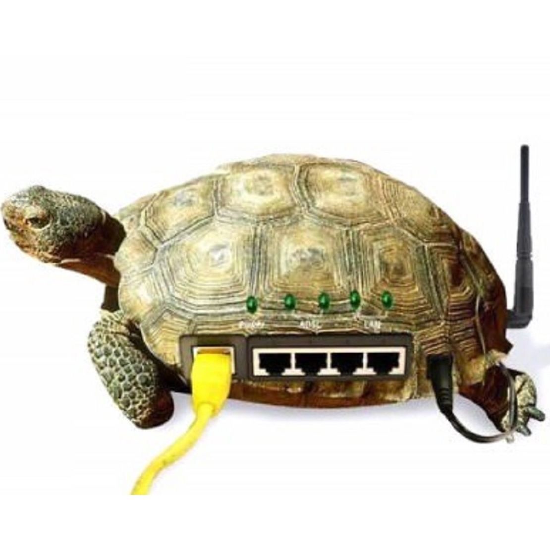 скорость.jpg скорость.jpg